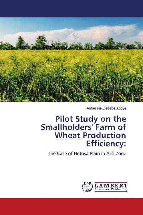 Produktbild: Pilot Study on the Smallholders' Farm of Wheat Production Efficiency: