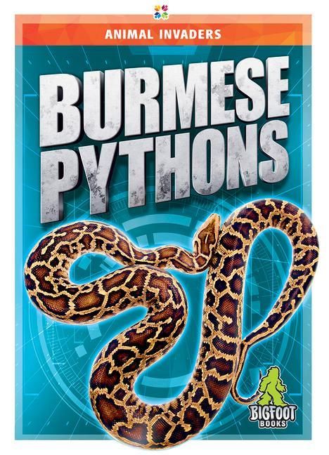 Produktbild: Burmese Pythons