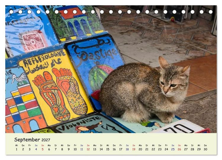 Produktbild: MarokkoCats (Tischkalender 2027 DIN A5 quer), CALVENDO Monatskalender