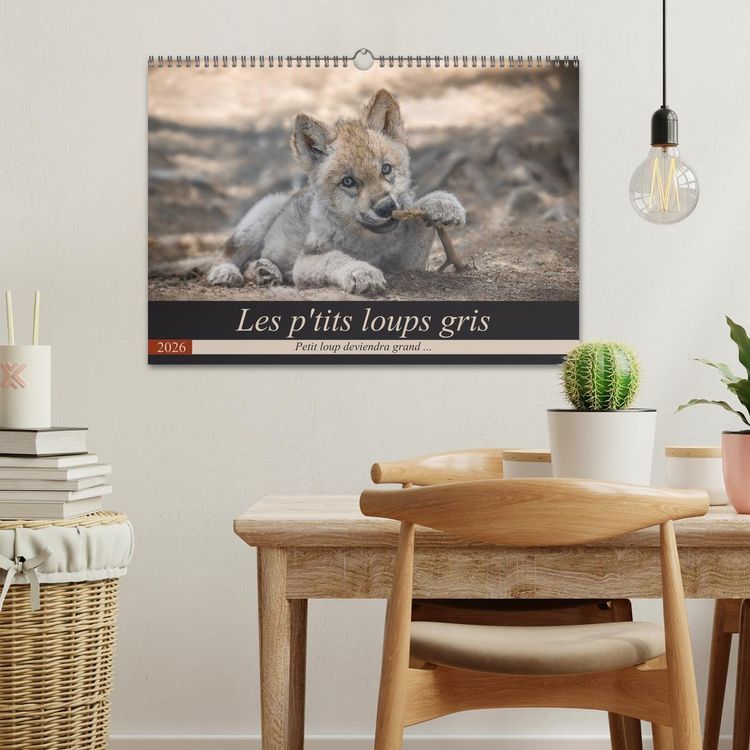 Produktbild: Les p'tits loups gris (Calendrier mural 2026 DIN A3 vertical), CALVENDO calendrier mensuel