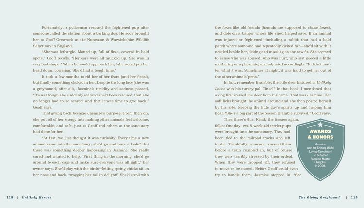 Produktbild: Unlikely Heroes
