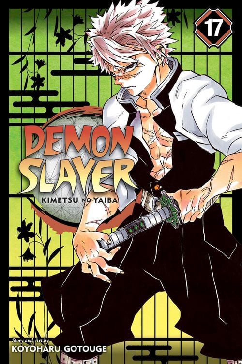 Produktbild: Demon Slayer: Kimetsu no Yaiba, Vol. 17