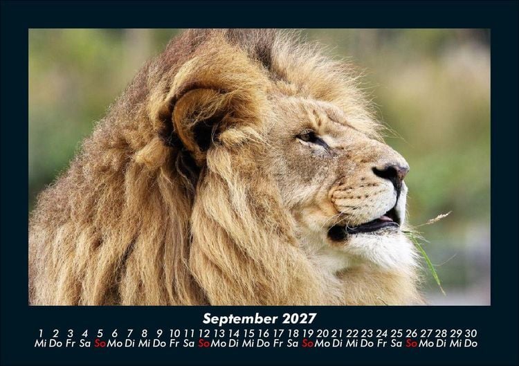 Produktbild: Welt der Tiere 2027 Fotokalender DIN A5
