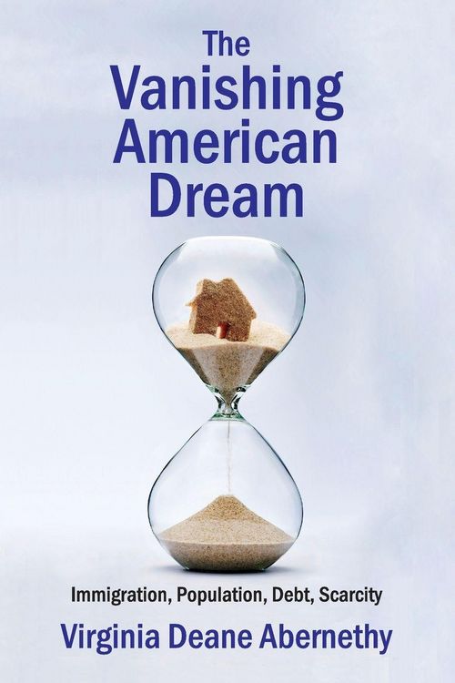 Produktbild: The Vanishing American Dream