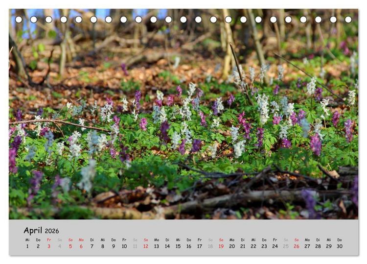 Produktbild: Sehnsucht Natur (Tischkalender 2026 DIN A5 quer), CALVENDO Monatskalender