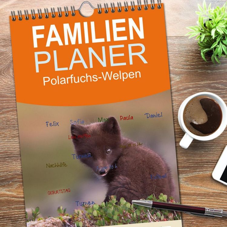 Produktbild: Familienplaner 2026 - Polarfuchs-Welpen mit 5 Spalten (Wandkalender, 21 x 45 cm) CALVENDO