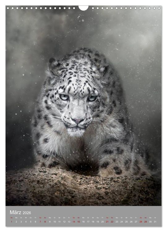 Produktbild: Portraits of Animals (Wandkalender 2026 DIN A3 hoch), CALVENDO Monatskalender