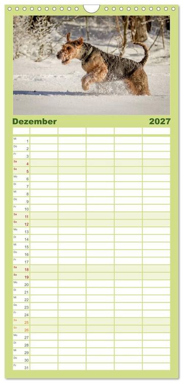 Produktbild: Familienplaner 2027 - Airedale-Terrier, was sonst! mit 5 Spalten (Wandkalender, 21 x 45 cm) CALVENDO