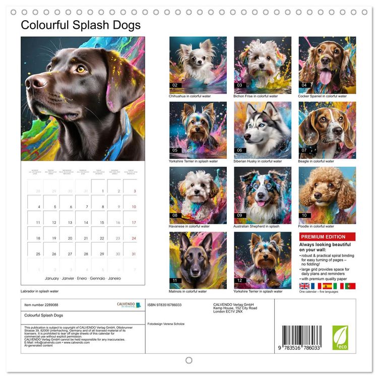 Produktbild: Colourful Splash Dogs (Wall Calendar 2027 12 &times; 12 Inch) CALVENDO 12 Month Wall Calendar