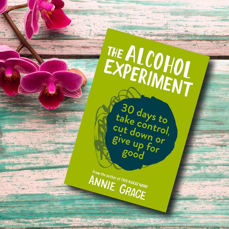 Produktbild: ALCOHOL EXPERIMENT PB