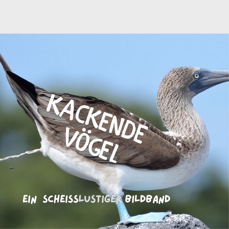 Produktbild: Kackende V&ouml;gel