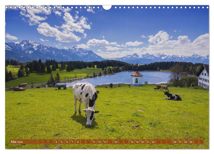 Produktbild: Allg&auml;uer Sch&ouml;nheiten Allg&auml;u - Land der K&uuml;he (Wandkalender 2026 DIN A3 quer), CALVENDO Monatskalender