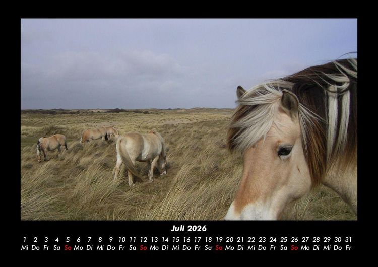 Produktbild: Die Welt der Pferde 2026 Fotokalender DIN A3