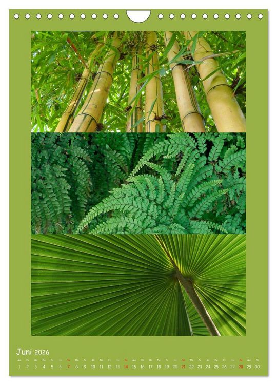Produktbild: Natur im Farbenrausch (Wandkalender 2026 DIN A4 hoch), CALVENDO Monatskalender