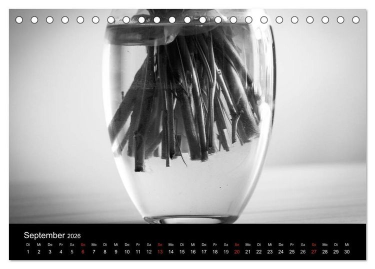 Produktbild: Monochrom 2026 (Tischkalender 2026 DIN A5 quer), CALVENDO Monatskalender