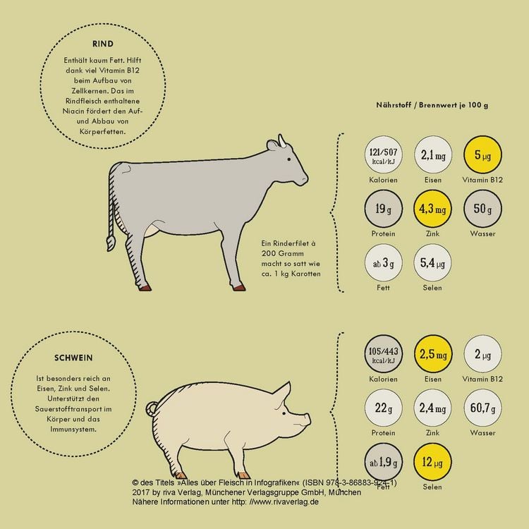 Produktbild: Alles &uuml;ber Fleisch in Infografiken