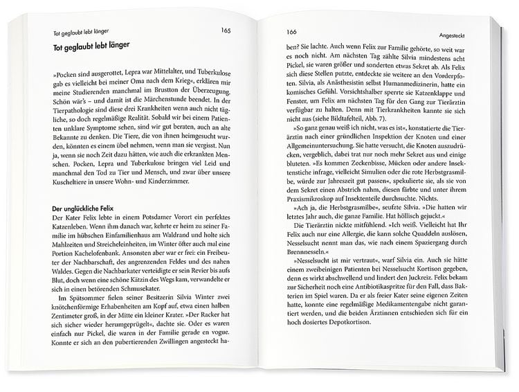 Produktbild: Das Kuscheltierdrama