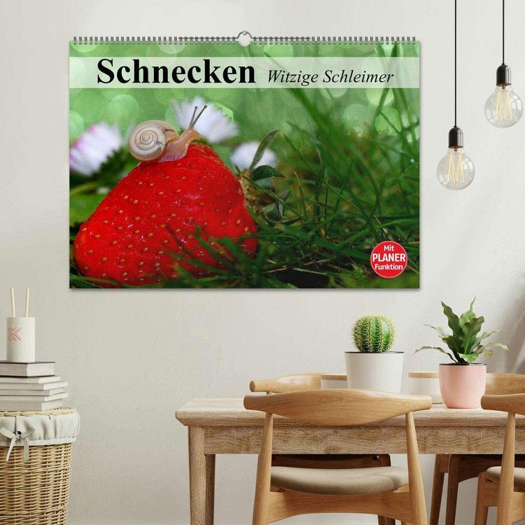 Produktbild: Schnecken. Witzige Schleimer (Wandkalender 2026 DIN A2 quer), CALVENDO Monatskalender