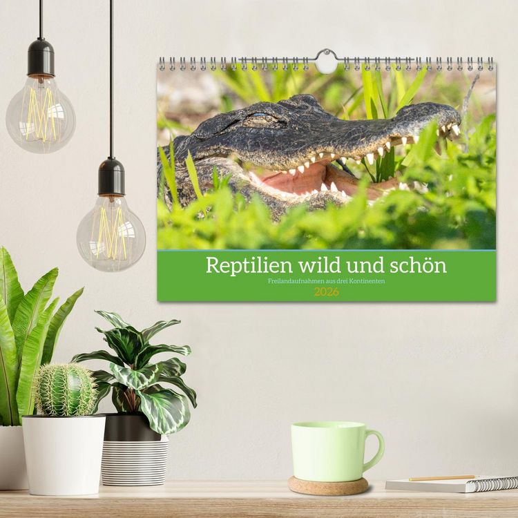 Produktbild: Reptilien wild und sch&ouml;n (Wandkalender 2026 DIN A4 quer), CALVENDO Monatskalender