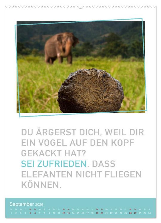 Produktbild: Tierisch bekloppt! (hochwertiger Premium Wandkalender 2026 DIN A2 hoch), Kunstdruck in Hochglanz
