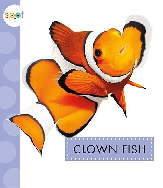 Produktbild: Clown Fish