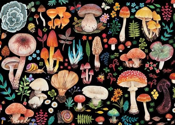 Produktbild: Mushrooms 1000-Piece Jigsaw Puzzle