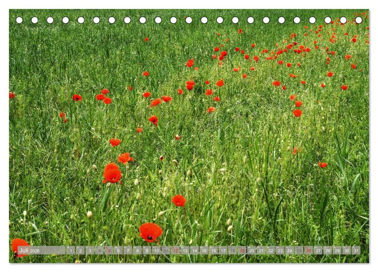 Produktbild: M&uuml;nsterland - Vielf&auml;ltige Sch&ouml;nheit (Tischkalender 2026 DIN A5 quer), CALVENDO Monatskalender