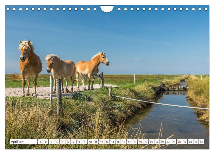 Produktbild: Schleswig-Holstein (Wandkalender 2026 DIN A4 quer), CALVENDO Monatskalender
