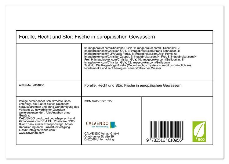 Produktbild: Forelle, Hecht und St&ouml;r: Fische in europ&auml;ischen Gew&auml;ssern (Tischkalender 2026 DIN A5 quer), CALVENDO Monatskalender