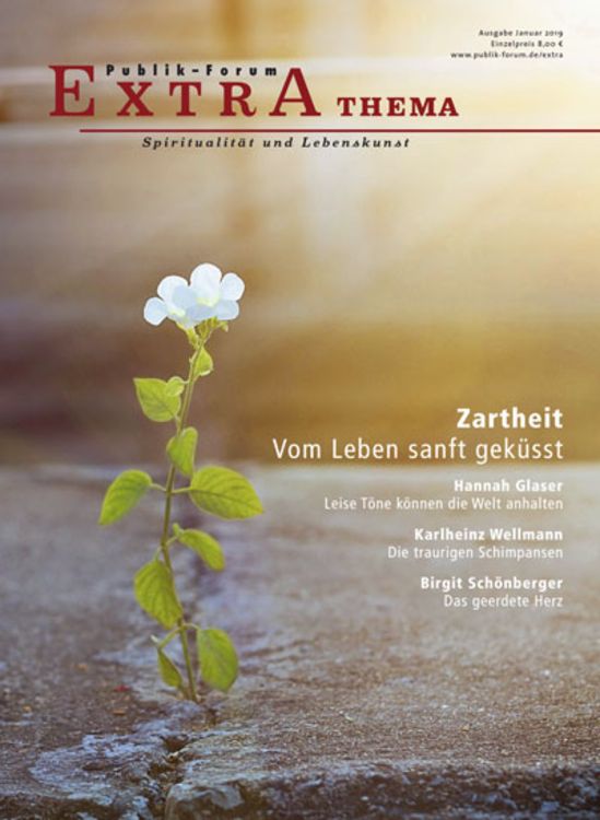 Produktbild: Zartheit: Vom Leben sanft geküsst