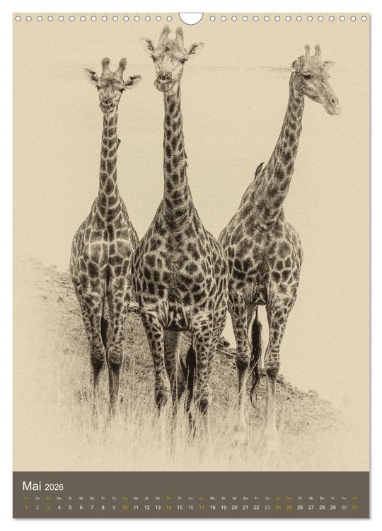 Produktbild: Afrikas Tierwelt - Sepia-Art (Wandkalender 2026 DIN A3 hoch), CALVENDO Monatskalender