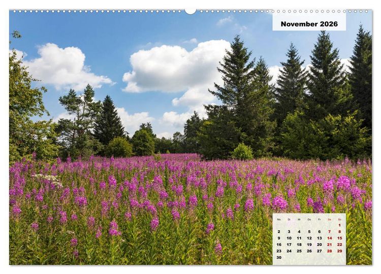Produktbild: Rh&ouml;ner R&ouml;schen - ein Sommerm&auml;rchen in der Hochrh&ouml;n (Wandkalender 2026 DIN A2 quer), CALVENDO Monatskalender
