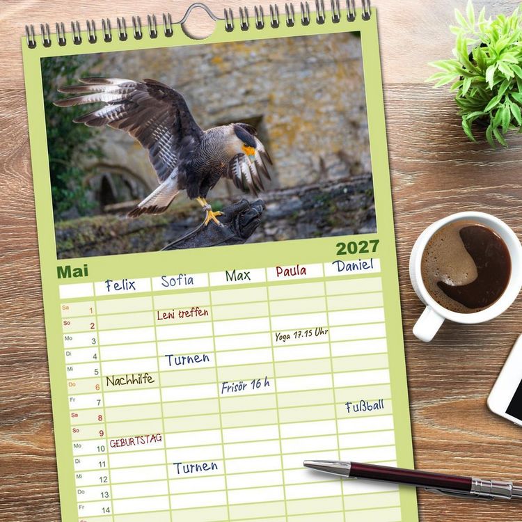 Produktbild: Familienplaner 2027 - Greifv&ouml;gel in Aktion - Dynamische Flugbilder und Portr&auml;ts mit 5 Spalten (Wandkalender, 21 x 45 cm) CALVENDO