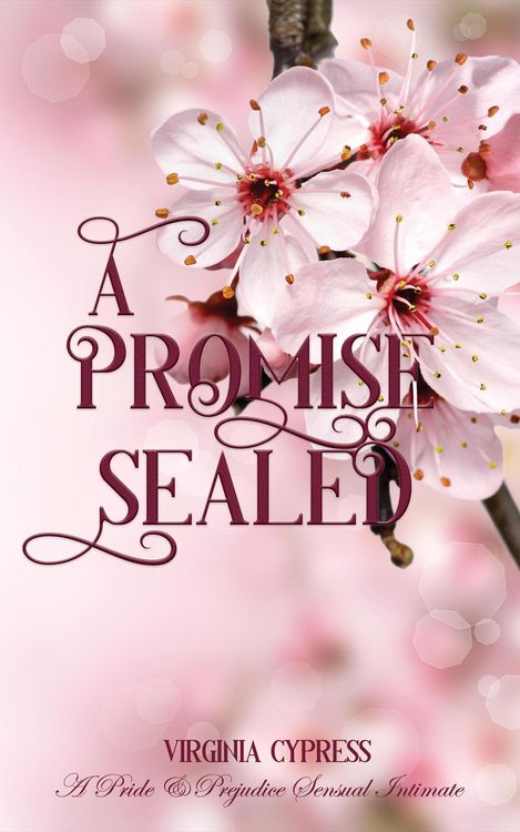 Produktbild: A Promise Sealed: A Pride and Prejudice Sensual Intimate (A Gentleman's Word, #2)