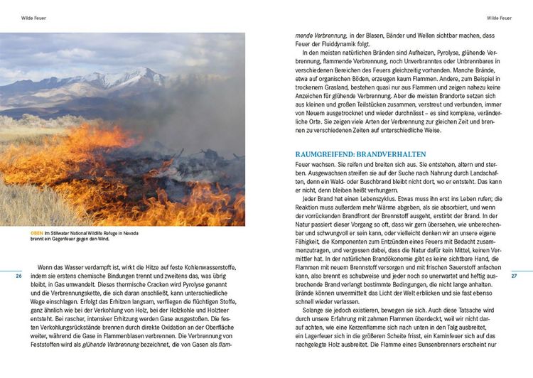 Produktbild: Feuer