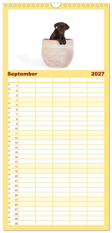 Produktbild: Familienplaner 2027 - Labrador - Welpen mit 5 Spalten (Wandkalender, 21 x 45 cm) CALVENDO