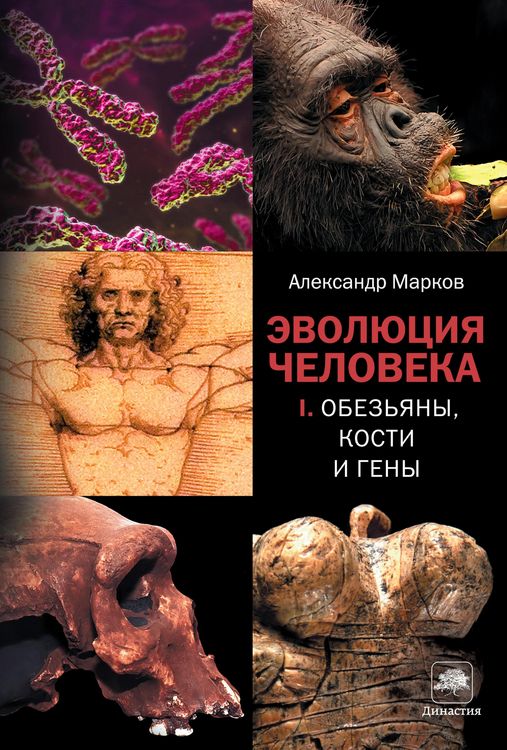 Produktbild: Evolyutsiya cheloveka. Kn. 1. Obezyany, kosti i geny