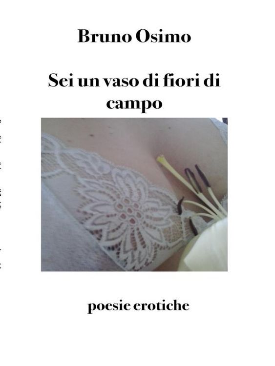 Produktbild: Sei un vaso di fiori di campo