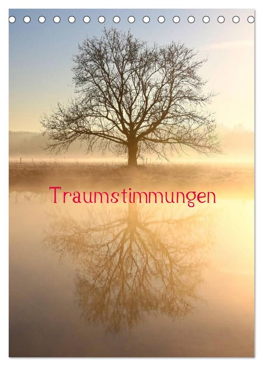 Produktbild: Traumstimmungen (Tischkalender 2026 DIN A5 hoch), CALVENDO Monatskalender