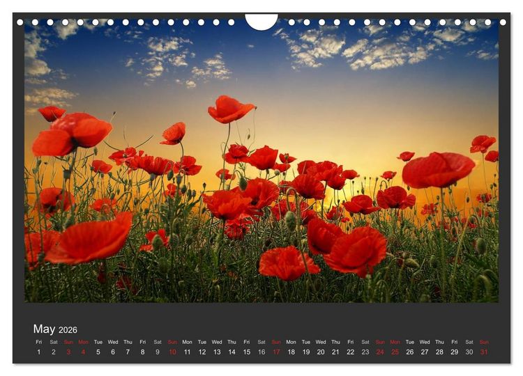 Produktbild: Adorable Nature - Images from Bulgaria / UK-Version (Wall Calendar 2026 DIN A4 landscape), CALVENDO 12 Month Wall Calendar