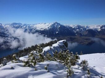Produktbild: CALVENDO Puzzle Niederhorn, Berner Oberland, Schweiz | 1000 Teile Lege-Gr&ouml;&szlig;e 64x48cm Foto-Puzzle f&uuml;r gl&uuml;ckliche Stunden