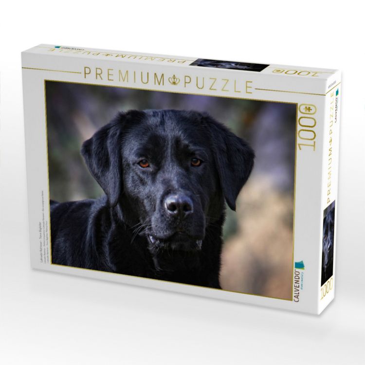 Produktbild: CALVENDO Puzzle Labrador Retriever - Treue Begleiter | 1000 Teile Lege-Gr&ouml;&szlig;e 64x48cm Foto-Puzzle f&uuml;r gl&uuml;ckliche Stunden