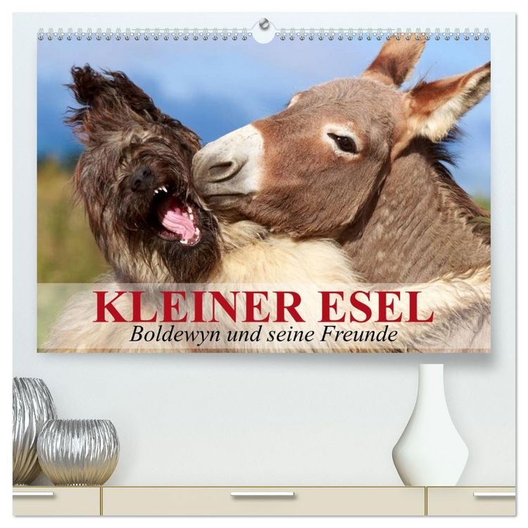 Produktbild: Kleiner Esel. Boldewyn und seine Freunde (hochwertiger Premium Wandkalender 2026 DIN A2 quer), Kunstdruck in Hochglanz