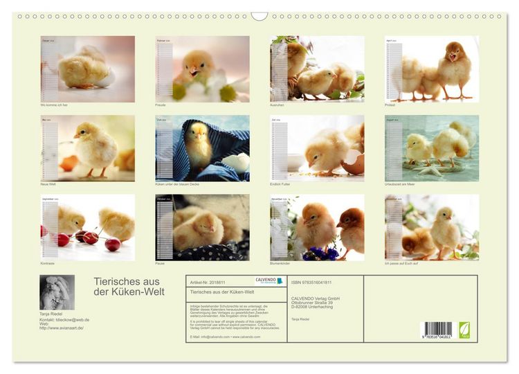 Produktbild: Tierisches aus der K&uuml;ken-Welt (Wandkalender 2026 DIN A2 quer), CALVENDO Monatskalender