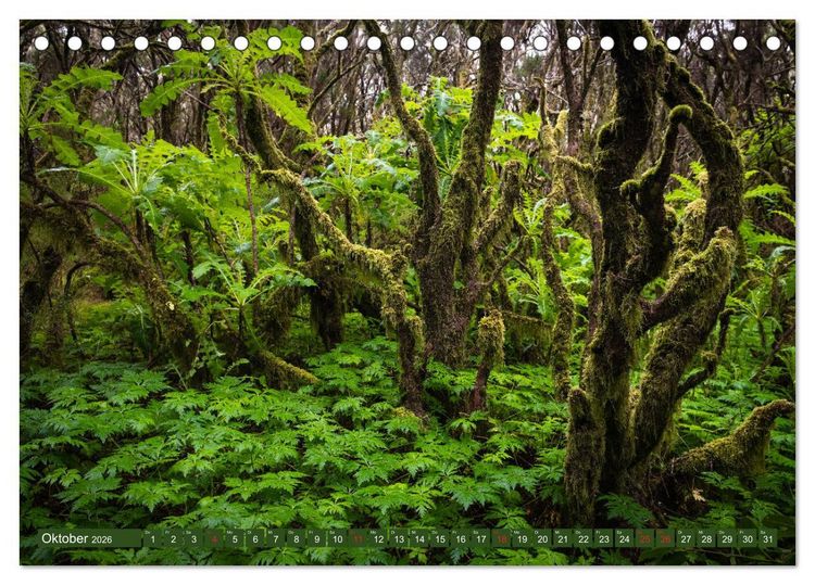 Produktbild: La Gomera - Vielseitige Insel (Tischkalender 2026 DIN A5 quer), CALVENDO Monatskalender