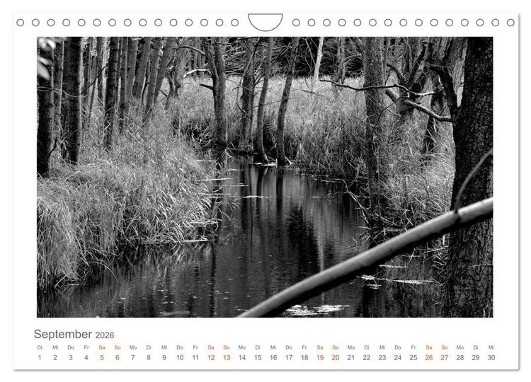 Produktbild: Quo Vadis? W&auml;lder und Wege in der R&ouml;hn, L&uuml;neburger Heide und der Mecklenburgischen Seenplatte (Wandkalender 2026 DIN A4 quer), CALVENDO Monatskalender