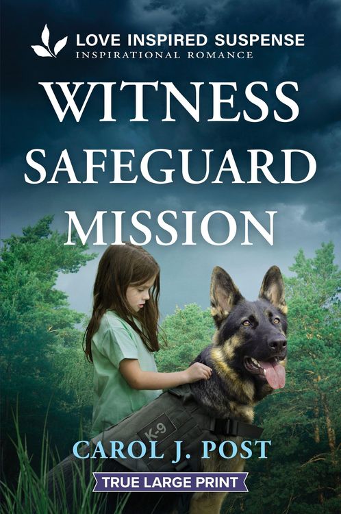 Produktbild: Witness Safeguard Mission