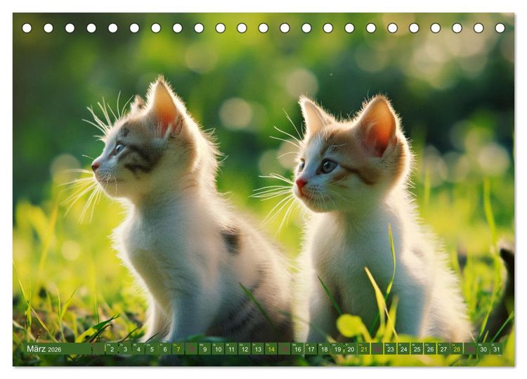 Produktbild: Tierkinder auf dem Land (Tischkalender 2026 DIN A5 quer), CALVENDO Monatskalender