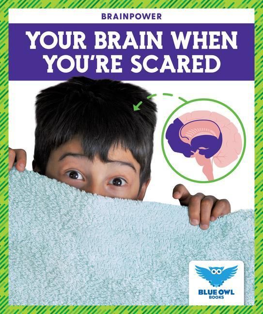 Produktbild: Your Brain When You're Scared