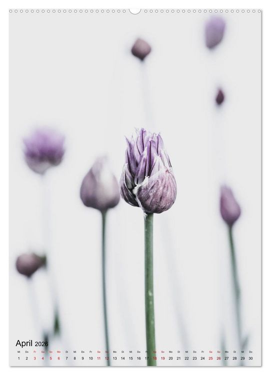 Produktbild: Pure Flowers (hochwertiger Premium Wandkalender 2026 DIN A2 hoch), Kunstdruck in Hochglanz